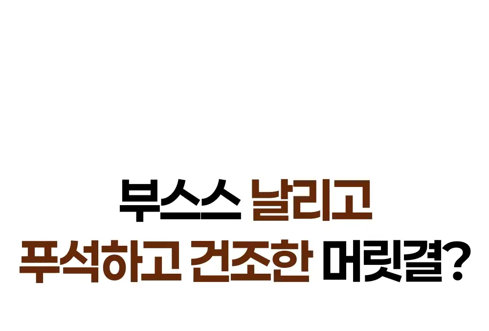 [수분/영양] 힐링버드 리바이브 노워시 트리트먼트 (데미지 리페어/딥모이스처 택 1) 상세페이지 41